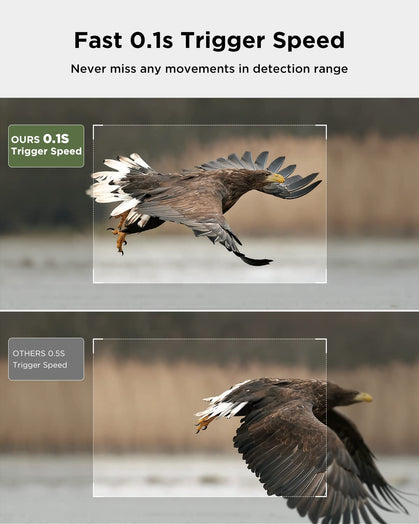 CY95 Full HD 4K 40MP Caméra de chasse Wi-Fi avec carte SD